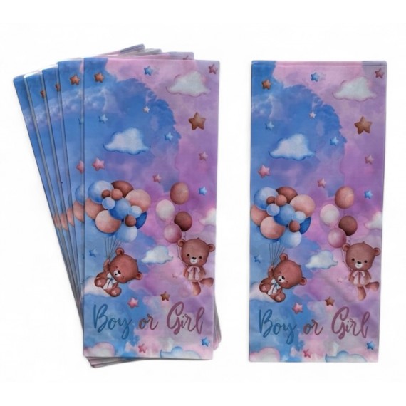 Boy or Girl Candy Bags